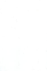 (OG021) BYRON GLOSS ALABASTER WALLS 200X300